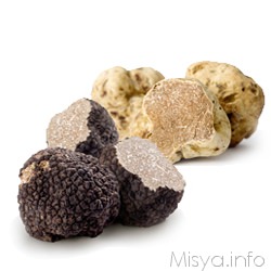 Come Conservare Il Tartufo